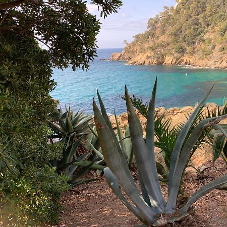 Un Havre De Paix Proche Du Centre Et Des Plages Cavalaire-sur-Mer Exterior foto